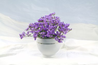 bir vase.2 çiçeği.