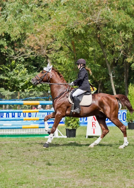 Jinete de caballos —  Fotos de Stock