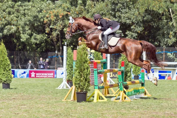 Jockey salta sobre un obstáculo . Fotos de stock libres de derechos