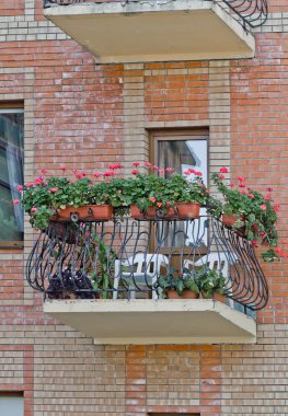 çiçekli balkon.