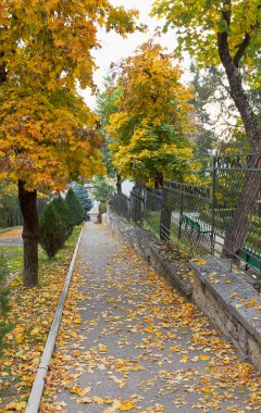 sonbahar. sokak şehir.