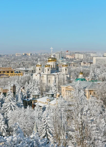 Город. Зима . Стоковая Картинка