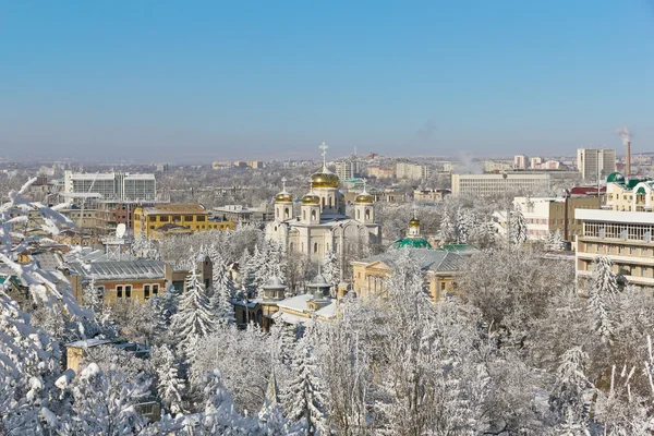 Зимний город Стоковое Изображение