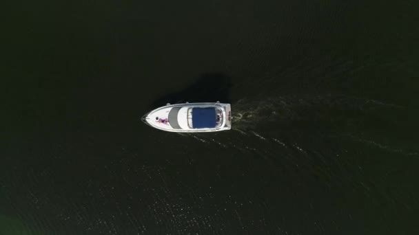Barco Para Dar Paseo Por Río Verano Drone Video — Vídeo de stock