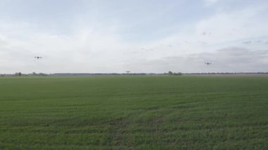 Agro drone sahada çalışıyor. Kimyasallarla alan tedavisi. Böceklere böcek ilacı sıkmak. Tarım sektöründe yenilikler. Yeni teknolojiler. Havadan. 