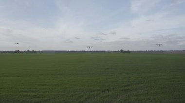 Agro drone sahada çalışıyor. Kimyasallarla alan tedavisi. Böceklere böcek ilacı sıkmak. Tarım sektöründe yenilikler. Yeni teknolojiler. Havadan. 