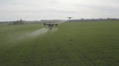 Agro drone sahada çalışıyor. Kimyasallarla alan tedavisi. Böceklere böcek ilacı sıkmak. Tarım sektöründe yenilikler. Yeni teknolojiler. Havadan. 