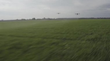 Agro drone sahada çalışıyor. Kimyasallarla alan tedavisi. Böceklere böcek ilacı sıkmak. Tarım sektöründe yenilikler. Yeni teknolojiler. Havadan. 