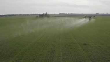 Agro drone sahada çalışıyor. Kimyasallarla alan tedavisi. Böceklere böcek ilacı sıkmak. Tarım sektöründe yenilikler. Yeni teknolojiler. Havadan. 