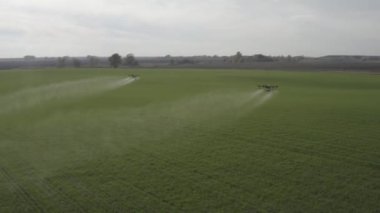 Agro drone sahada çalışıyor. Kimyasallarla alan tedavisi. Böceklere böcek ilacı sıkmak. Tarım sektöründe yenilikler. Yeni teknolojiler. Havadan. 