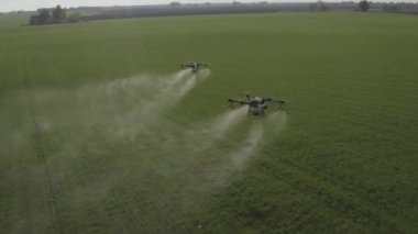 Agro drone sahada çalışıyor. Kimyasallarla alan tedavisi. Böceklere böcek ilacı sıkmak. Tarım sektöründe yenilikler. Yeni teknolojiler. Havadan. 