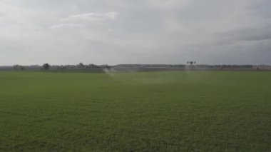 Agro drone sahada çalışıyor. Kimyasallarla alan tedavisi. Böceklere böcek ilacı sıkmak. Tarım sektöründe yenilikler. Yeni teknolojiler. Havadan. 