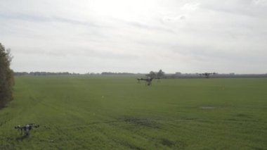 Agro drone sahada çalışıyor. Kimyasallarla alan tedavisi. Böceklere böcek ilacı sıkmak. Tarım sektöründe yenilikler. Yeni teknolojiler. Havadan. 