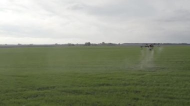 Agro drone sahada çalışıyor. Kimyasallarla alan tedavisi. Böceklere böcek ilacı sıkmak. Tarım sektöründe yenilikler. Yeni teknolojiler. Havadan. 