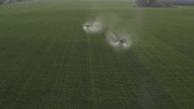 Agro drone sahada çalışıyor. Kimyasallarla alan tedavisi. Böceklere böcek ilacı sıkmak. Tarım sektöründe yenilikler. Yeni teknolojiler. Havadan. 