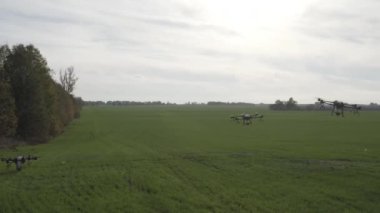 Agro drone sahada çalışıyor. Kimyasallarla alan tedavisi. Böceklere böcek ilacı sıkmak. Tarım sektöründe yenilikler. Yeni teknolojiler. Havadan. 