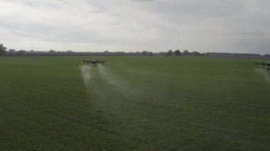 Agro drone sahada çalışıyor. Kimyasallarla alan tedavisi. Böceklere böcek ilacı sıkmak. Tarım sektöründe yenilikler. Yeni teknolojiler. Havadan. 