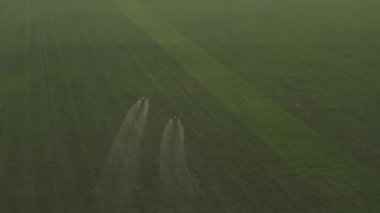 Agro drone sahada çalışıyor. Kimyasallarla alan tedavisi. Böceklere böcek ilacı sıkmak. Tarım sektöründe yenilikler. Yeni teknolojiler. Havadan. 