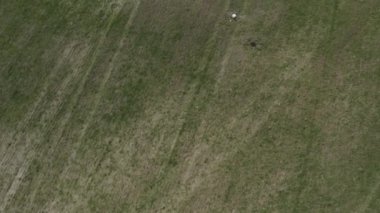 Agro drone sahada çalışıyor. Kimyasallarla alan tedavisi. Böceklere böcek ilacı sıkmak. Tarım sektöründe yenilikler. Yeni teknolojiler. Havadan. 