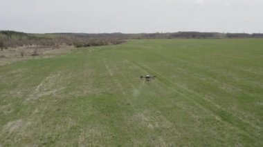 Agro drone sahada çalışıyor. Kimyasallarla alan tedavisi. Böceklere böcek ilacı sıkmak. Tarım sektöründe yenilikler. Yeni teknolojiler. Havadan. 