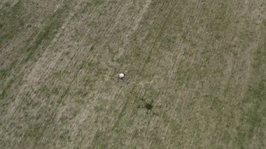 Agro drone sahada çalışıyor. Kimyasallarla alan tedavisi. Böceklere böcek ilacı sıkmak. Tarım sektöründe yenilikler. Yeni teknolojiler. Havadan. 