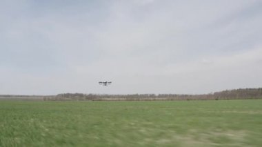 Agro drone sahada çalışıyor. Kimyasallarla alan tedavisi. Böceklere böcek ilacı sıkmak. Tarım sektöründe yenilikler. Yeni teknolojiler. Havadan. 