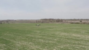Agro drone sahada çalışıyor. Kimyasallarla alan tedavisi. Böceklere böcek ilacı sıkmak. Tarım sektöründe yenilikler. Yeni teknolojiler. Havadan. 