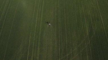 Agro drone sahada çalışıyor. Kimyasallarla alan tedavisi. Böceklere böcek ilacı sıkmak. Tarım sektöründe yenilikler. Yeni teknolojiler. Havadan. 