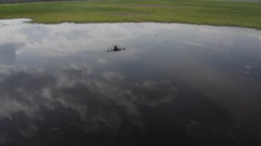 Agro drone sahada çalışıyor. Kimyasallarla alan tedavisi. Böceklere böcek ilacı sıkmak. Tarım sektöründe yenilikler. Yeni teknolojiler. Havadan. 