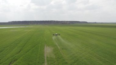 Agro drone sahada çalışıyor. Kimyasallarla alan tedavisi. Böceklere böcek ilacı sıkmak. Tarım sektöründe yenilikler. Yeni teknolojiler. Havadan. 