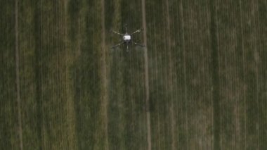 Agro drone sahada çalışıyor. Kimyasallarla alan tedavisi. Böceklere böcek ilacı sıkmak. Tarım sektöründe yenilikler. Yeni teknolojiler. Havadan. 
