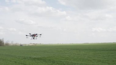 Agro drone sahada çalışıyor. Kimyasallarla alan tedavisi. Böceklere böcek ilacı sıkmak. Tarım sektöründe yenilikler. Yeni teknolojiler. Havadan. 