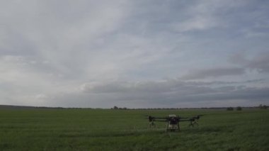Agro drone sahada çalışıyor. Kimyasallarla alan tedavisi. Böceklere böcek ilacı sıkmak. Tarım sektöründe yenilikler. Yeni teknolojiler. Havadan. 