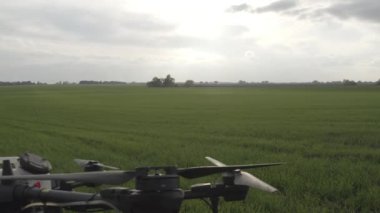 Agro drone sahada çalışıyor. Kimyasallarla alan tedavisi. Böceklere böcek ilacı sıkmak. Tarım sektöründe yenilikler. Yeni teknolojiler. Havadan. 