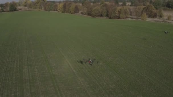 Agro Drone Works Field Field Treatment Chemicals Spraying Pesticides Pests — Video Stock