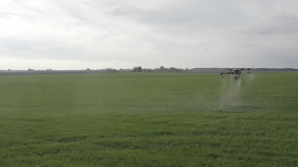 Agro Drone Trabaja Campo Tratamiento Campo Con Productos Químicos Pulverización — Vídeo de stock