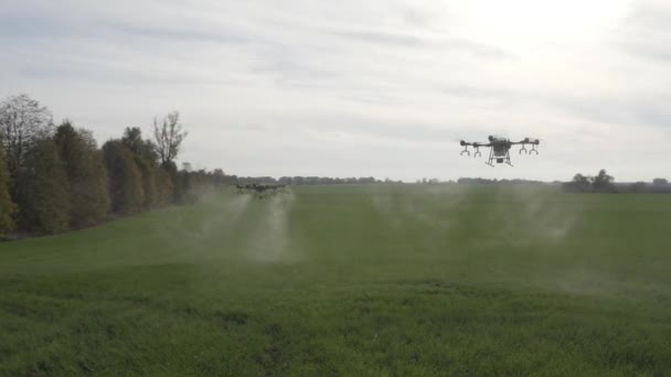 Agro Drone Werkt Het Veld Veldbehandeling Met Chemicaliën Bestrijding Van — Stockvideo