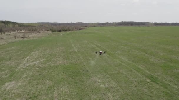 Agro Drone Λειτουργεί Στο Πεδίο Επεξεργασία Πεδίου Χημικές Ουσίες Ψεκάζουν — Αρχείο Βίντεο