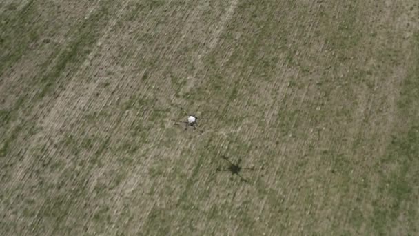 Agro Drone Trabaja Campo Tratamiento Campo Con Productos Químicos Pulverización — Vídeo de stock