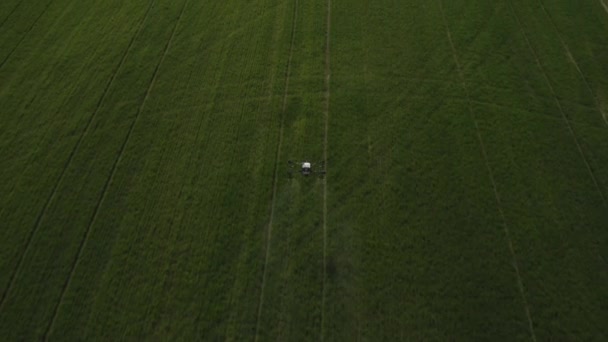 农业无人机在战场上工作 用化学品进行现场处理 喷洒杀虫剂以防治害虫 农业部门的创新 新技术 空中业务 — 图库视频影像