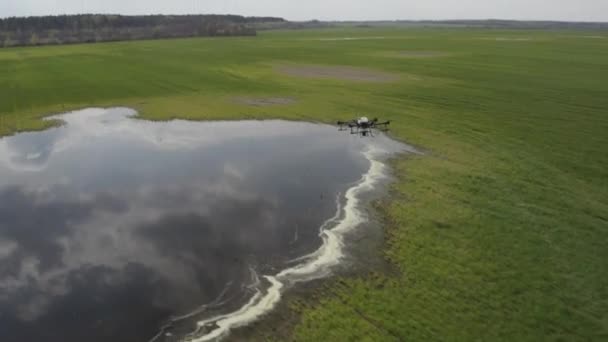 Agro Drone Trabaja Campo Tratamiento Campo Con Productos Químicos Pulverización — Vídeo de stock