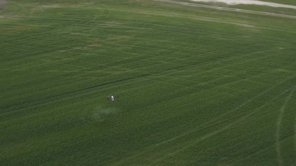 Agro Dron Pracuje Polu Obróbka Terenie Chemikaliami Rozpylanie Pestycydów Szkodniki — Wideo stockowe