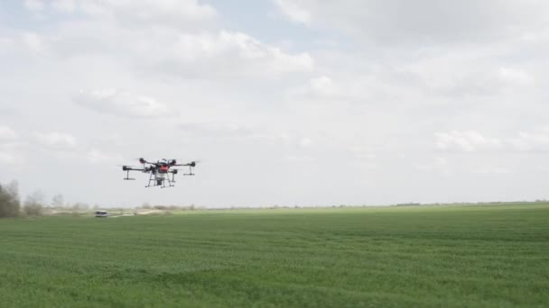 Agro Drone Trabalha Campo Tratamento Campo Com Produtos Químicos Pulverizar — Vídeo de Stock