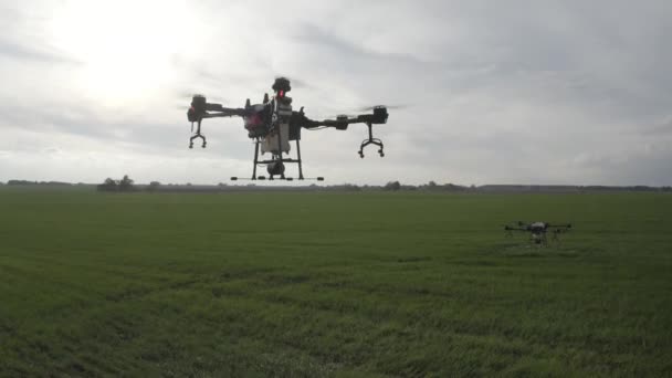 Agro Drone Pracuje Poli Ošetření Terénu Chemikáliemi Postřikování Pesticidů Proti — Stock video