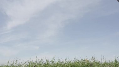 İHA 'yı uçuştan önce alanın işleyişine göre ayarlıyorum. Agro drone sahada çalışıyor. Kimyasallarla alan tedavisi. Böceklere böcek ilacı sıkmak. Tarım sektörü.