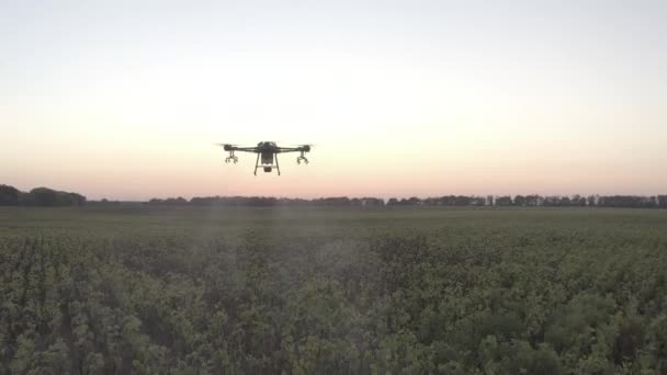 Agro Drone Trabalha Campo Tratamento Campo Com Produtos Químicos Pulverizar — Vídeo de Stock