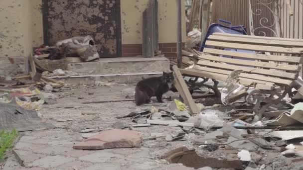 Bombed Out Apartment Building Airstrike War Ukraine Mariupol — Video Stock