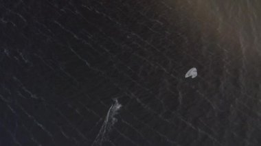 Atletler uçurtma sörfüne biner. Kiev Denizi. Yaz. Rüzgarlı bir hava. Rekabet. Renkli yelkenler. Havadan. Ukrayna. Kyiv.