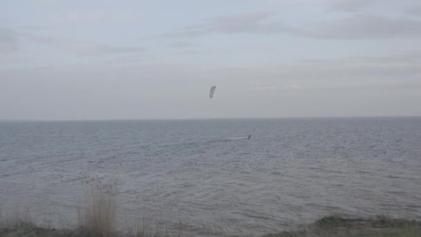 Idrottare Rider Kitesurfing Kievhavet Sommar Vädret Blåste Konkurrens Färgade Segel — Stockvideo