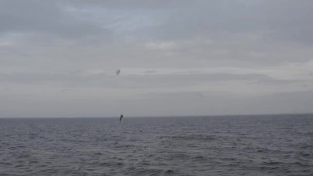 Idrottare Rider Kitesurfing Kievhavet Sommar Vädret Blåste Konkurrens Färgade Segel — Stockvideo